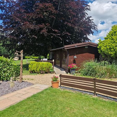 Cypress Log Cabins Accommodation Godshill (Hampshire) Exterior foto